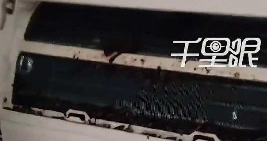 浙江民宅空调飘异味，竟藏蝙蝠窝！拆机惊见10多只挤成团，粪便狂掉吓死人（图） - 1