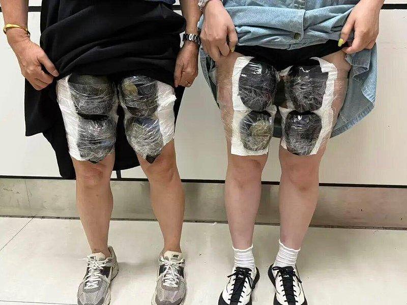 大腿怪怪的…深圳海关逮8名“龟仙人”，携53活体龟入境 - 1