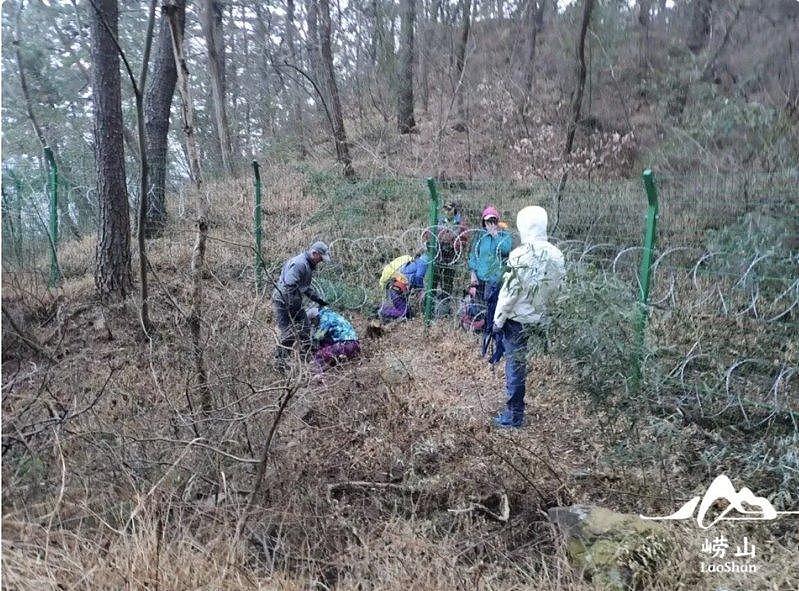 青岛崂山景区也有“刀片网”! 管理方回应被打脸…(组图) - 2