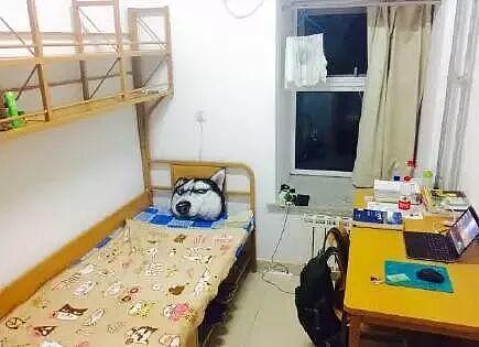 清华大学因“宿舍太差”冲上热搜!网友辣评:狗看了都摇头! - 28