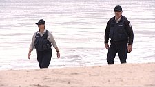 禽流感持续蔓延，澳洲已录得7例确诊！专家：对人类健康风险仍低（组图）