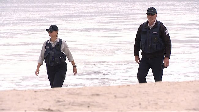 禽流感持续蔓延,澳洲已录得7例确诊!专家:对人类健康风险仍低(组图) - 1
