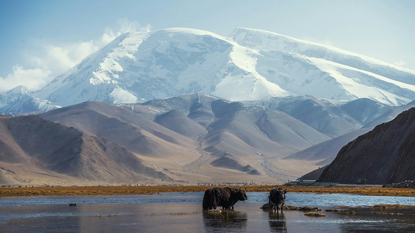 登山队在慕士塔格峰遭遇暴风雪,3人遇难1人失联(组图) - 8