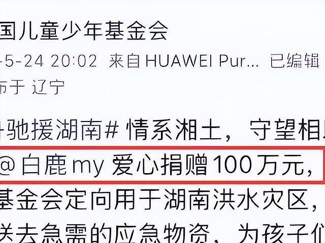 广西大雨炸出一堆“牛鬼神蛇”,捐款名单曝光,韩红热巴让人意外 - 18