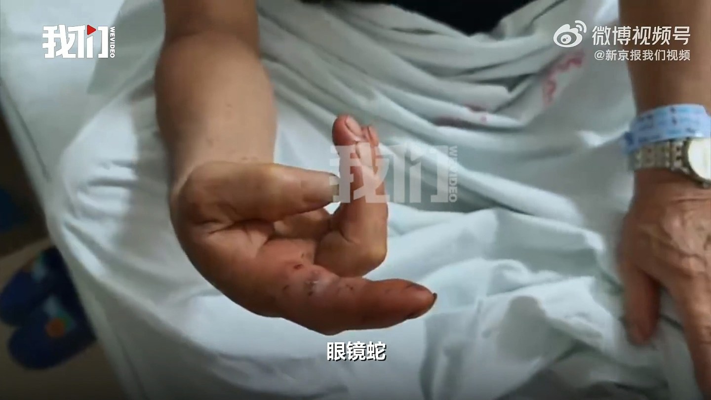 广西洪灾千蛇出逃多人被咬伤，女村民因道路不通延误就医离世（组图） - 2