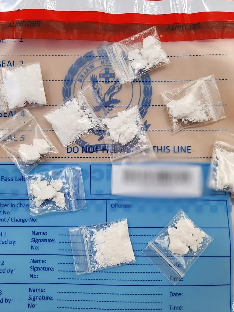澳洲民宅成“安全屋”！警方突袭缴获军用步枪和毒品，11人被逮捕（组图） - 5