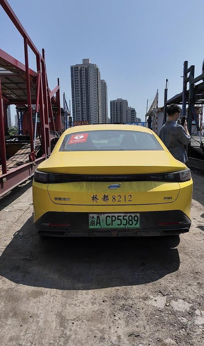 重庆的哥搭网红进藏，全程2229公里计价器爆表！感慨“能吹一辈子”（组图） - 3