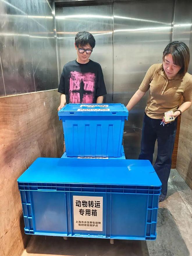 “鳄了么”上门?上海16岁男生网购“迷你宠物”,被家人暂存在消防通道,一觉醒来,半米长的鳄鱼不见了 - 2