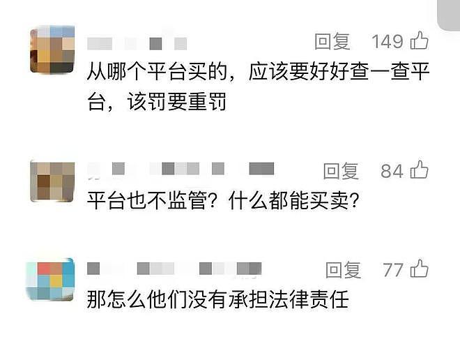 “鳄了么”上门?上海16岁男生网购“迷你宠物”,被家人暂存在消防通道,一觉醒来,半米长的鳄鱼不见了 - 5