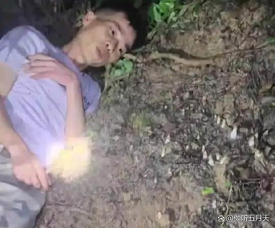 广西男深山死守3.5小时等菌子长大,网惊“对美食太执著” - 1