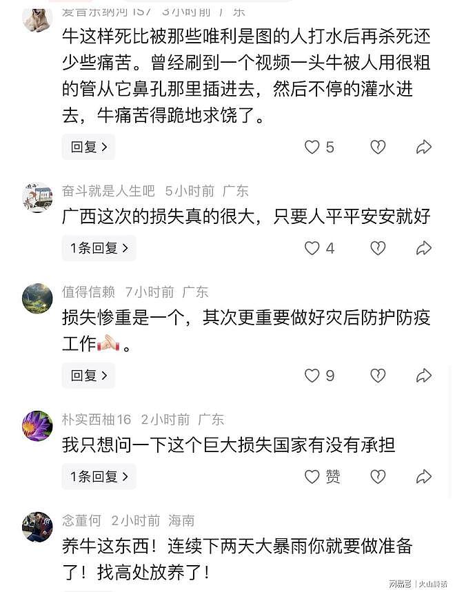 触目惊心！广西洪水漂浮大量死牛，养殖户损失惨重（组图） - 4