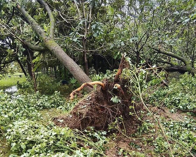 11人死亡！15级龙卷风横扫湖北黄冈，多人被卷飞（组图） - 9