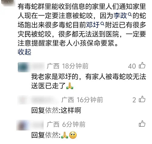 网传广西洪水大批鳄鱼出逃,民警用95开枪击毙?(组图) - 2