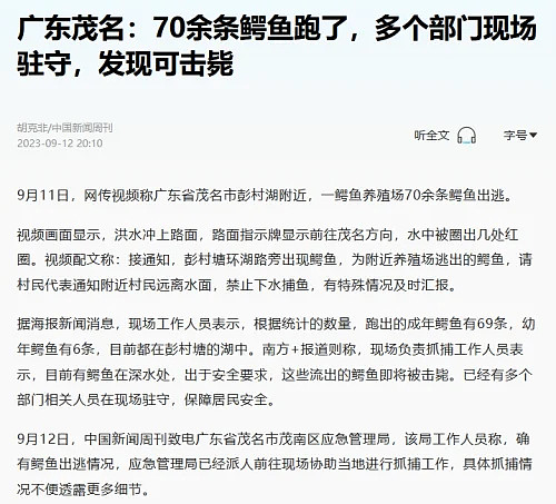 网传广西洪水大批鳄鱼出逃,民警用95开枪击毙?(组图) - 13