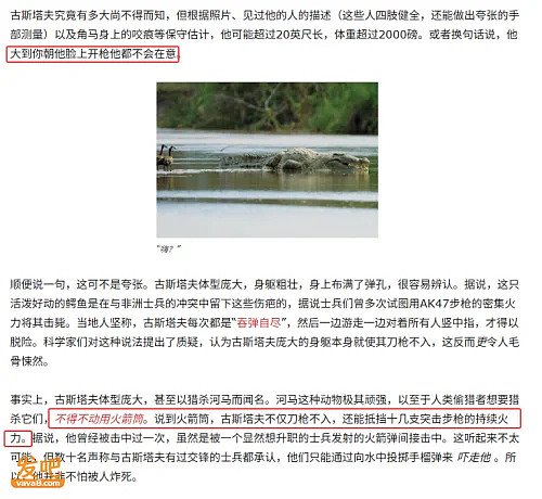 网传广西洪水大批鳄鱼出逃,民警用95开枪击毙?(组图) - 27