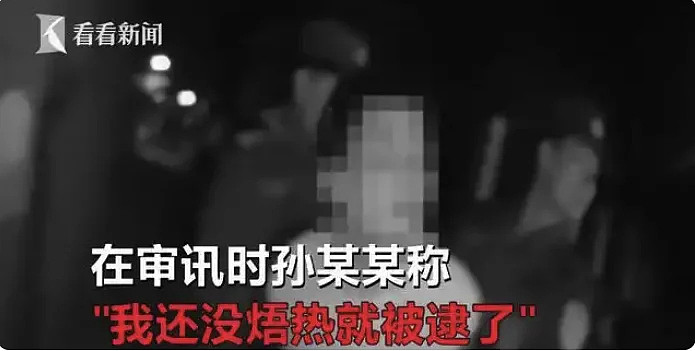 香港黑帮老大带女友工地卖盒饭被抓引热议(组图) - 10