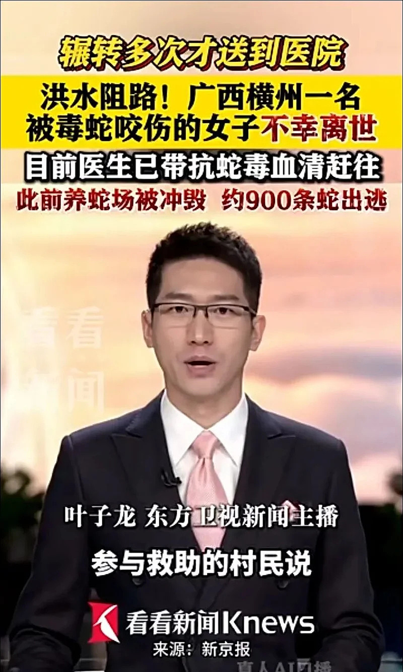 洪水里有蛇怎么办？记住这4点，关键时刻能保命（组图） - 1
