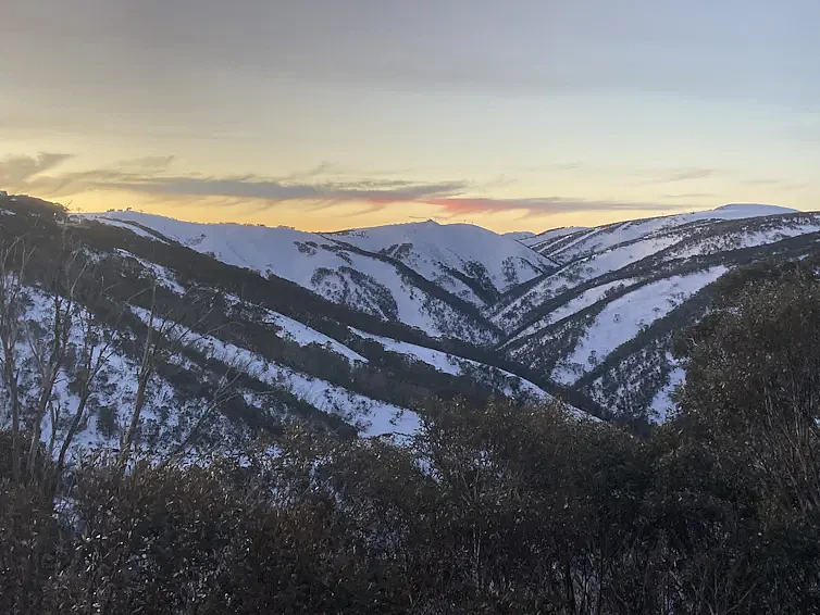 积雪深度骤降30%！澳洲滑雪场无雪可滑，面临游客危机（组图） - 1