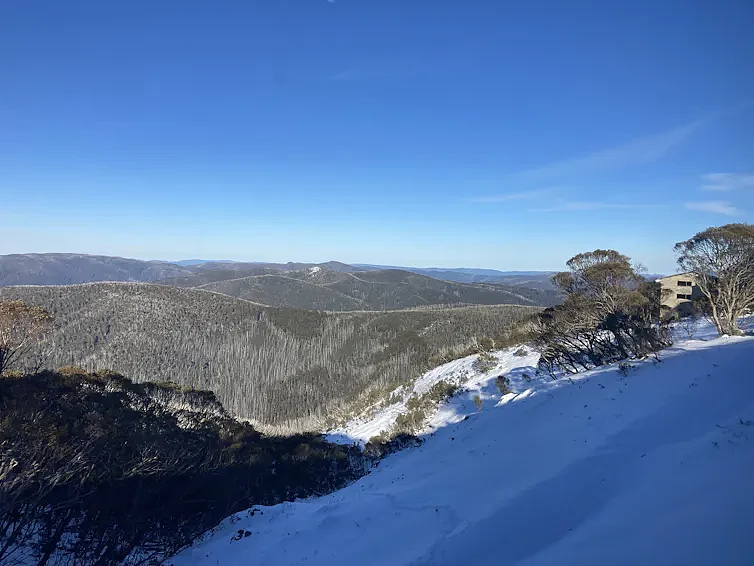 积雪深度骤降30%！澳洲滑雪场无雪可滑，面临游客危机（组图） - 3