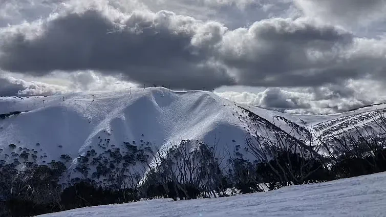 积雪深度骤降30%！澳洲滑雪场无雪可滑，面临游客危机（组图） - 4