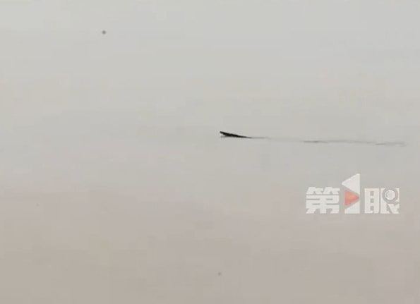 广西洪灾千蛇出逃！老妇被眼镜蛇咬脖身亡，全村排雷式搜蛇（组图） - 5