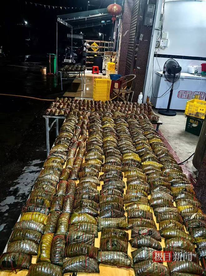 广西女子煮2200个粽子送灾区，陌生人纷纷出手相助！“听说不要钱，眼泪一下就出来了”（组图） - 1