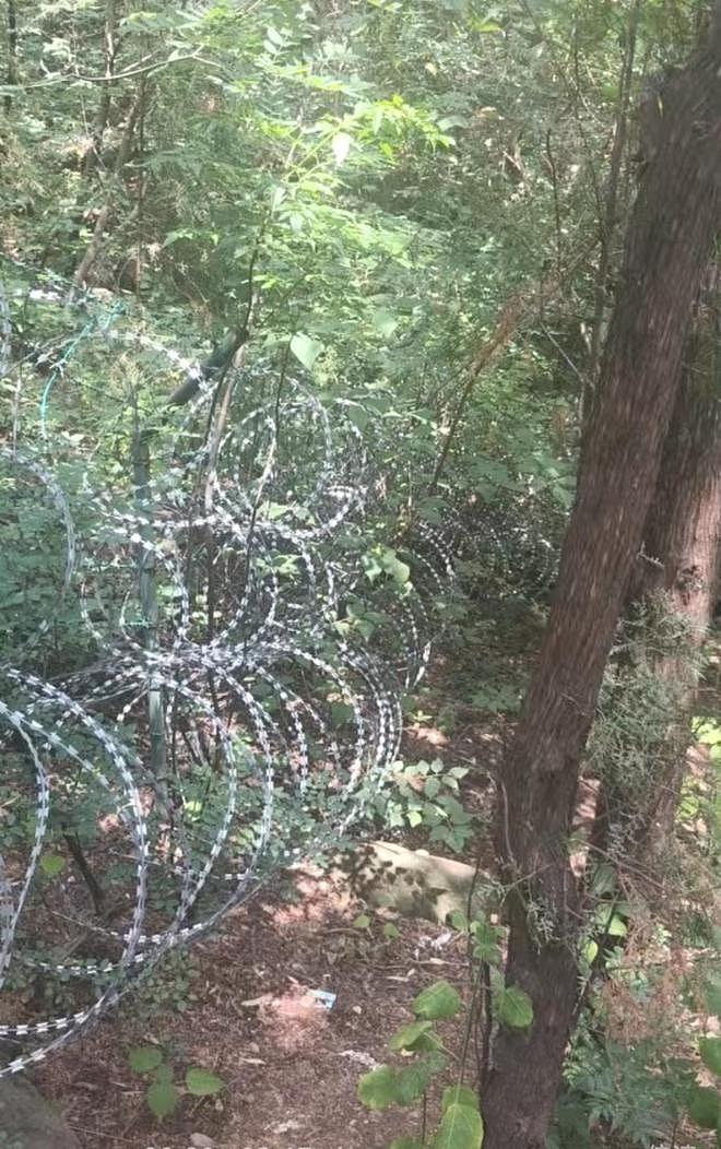 泰山景区刀片隔离网引众怒！泰安政府决定拆除替代（组图） - 4