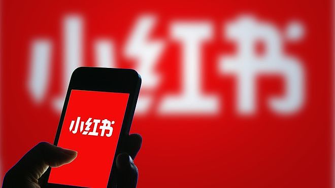 小红书700亿的IPO,被一场85万的官司干停了 - 2
