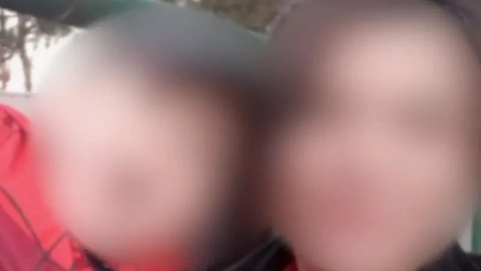 骇人听闻!新州宝妈涉杀害4岁儿子并食人,或因精神问题免罪 - 2