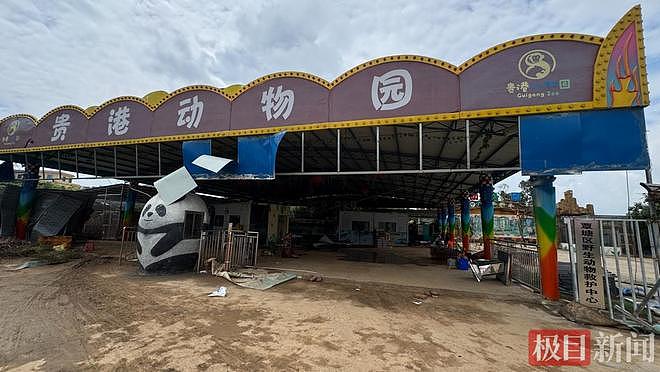 广西动物园被淹，上百只动物失踪或溺亡！园方回应“锁死笼舍致3狮溺亡”争议（组图） - 1