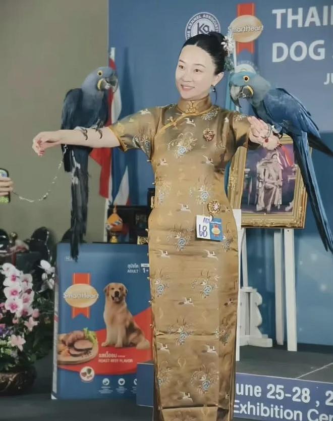 霍思燕宠物双冠引热议,网友戏称现实版御兽宗长老 - 1
