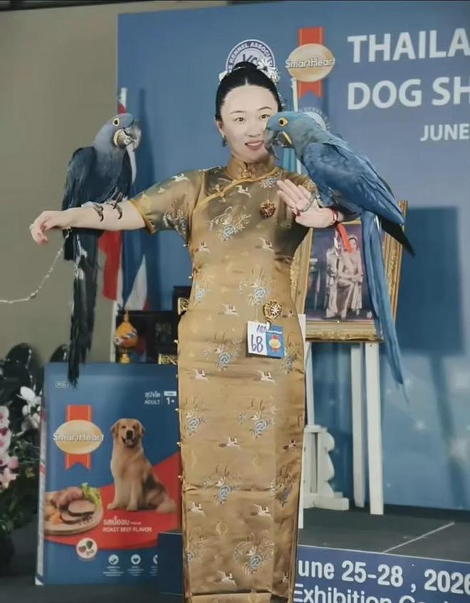 霍思燕宠物双冠引热议,网友戏称现实版御兽宗长老 - 3