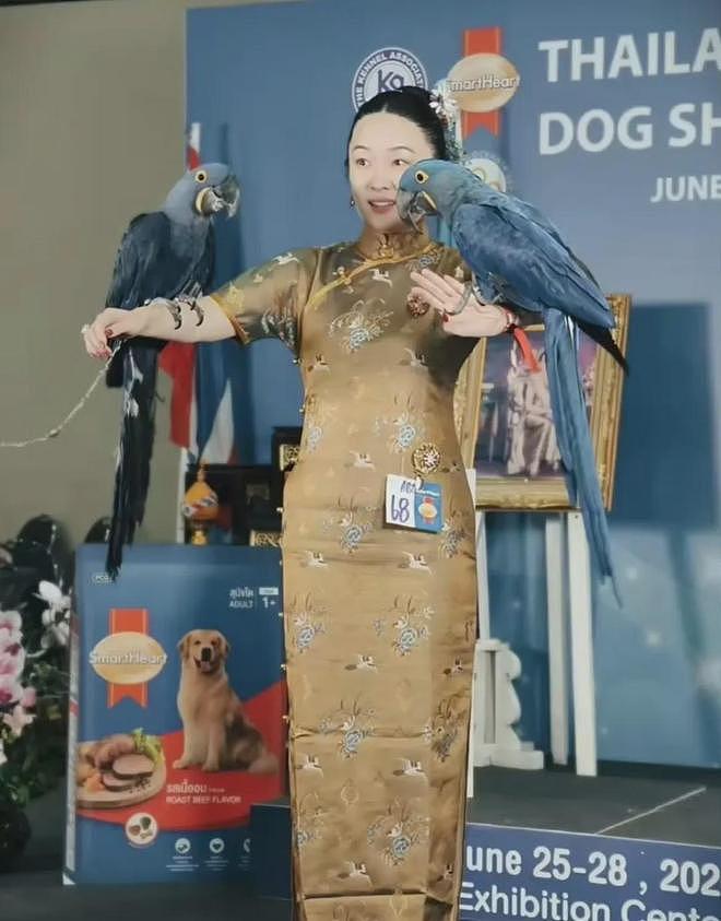 霍思燕宠物双冠引热议,网友戏称现实版御兽宗长老 - 4