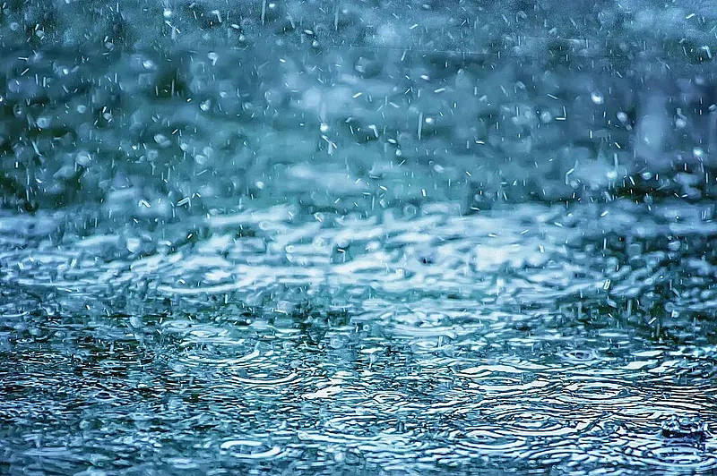 台风“巴威”来袭：沪杭粉紫天空刷屏，极端暴雨洪涝预警升级 - 11