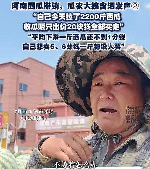 便宜到爆…50元买1000斤西瓜，河南瓜农：1斤不到1分钱 - 2