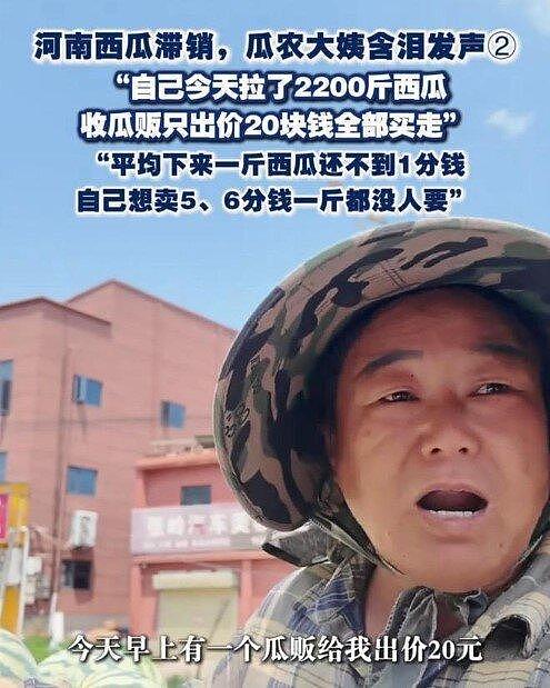 便宜到爆…50元买1000斤西瓜，河南瓜农：1斤不到1分钱 - 3