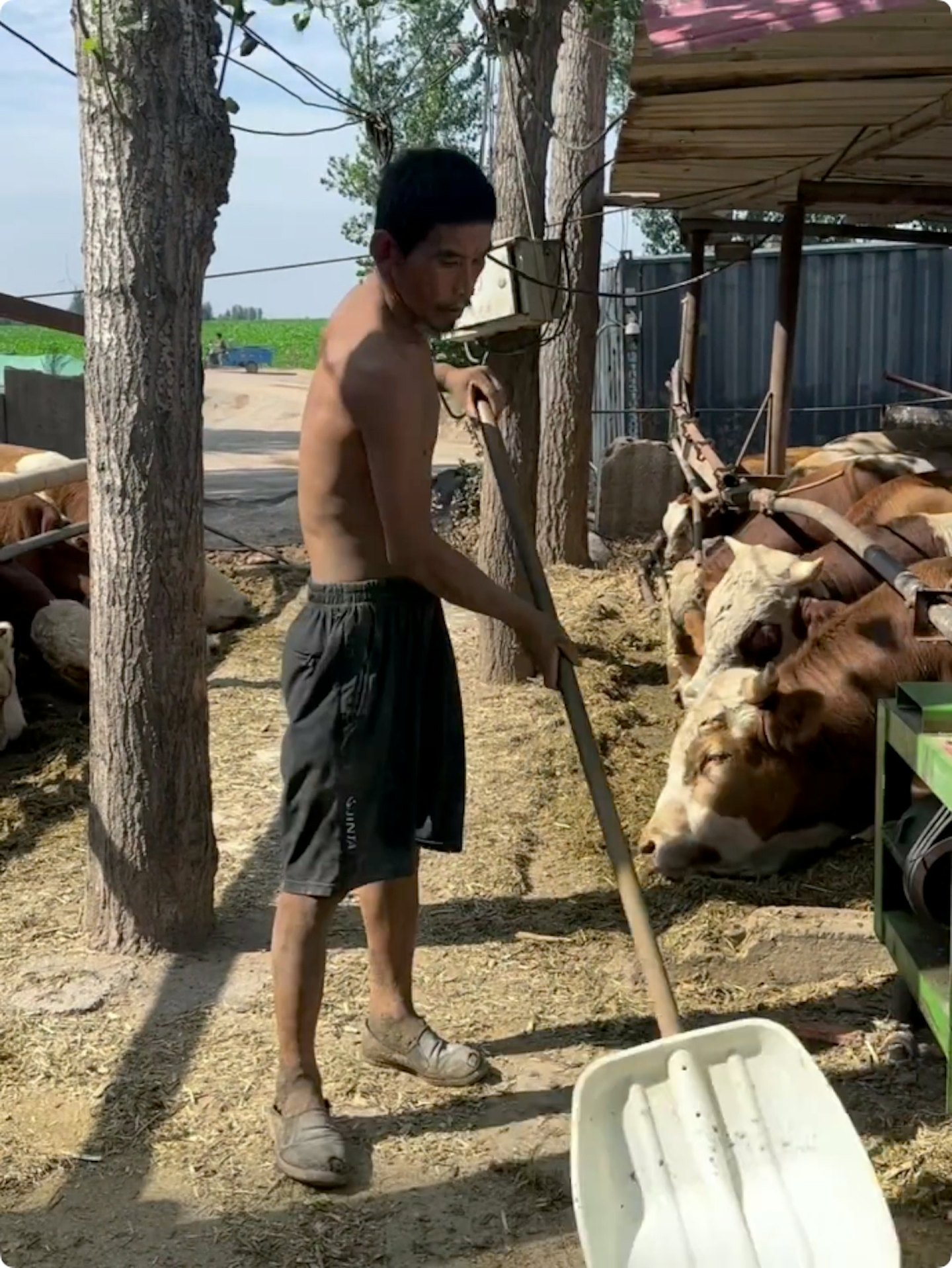 河北残障男子遭牛场奴役三年，老板称政府知情引众怒 - 1