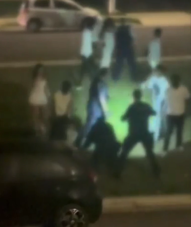 悉尼狂欢趴失控,70人街头大乱斗!两名teenager被捅伤,警员用辣椒水赶人(组图) - 1