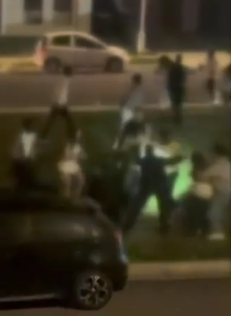 悉尼狂欢趴失控,70人街头大乱斗!两名teenager被捅伤,警员用辣椒水赶人(组图) - 2
