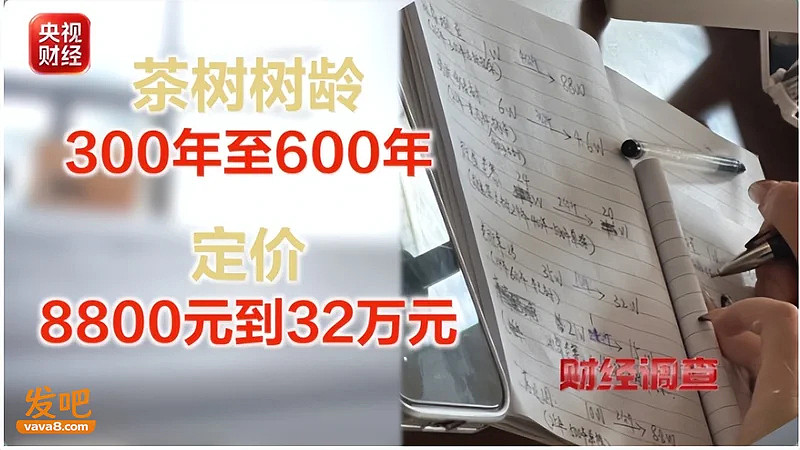 27位茶农20个是演员,半年赚2000万,善心成提款机 - 10