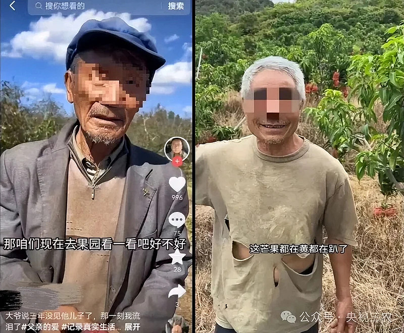27位茶农20个是演员,半年赚2000万,善心成提款机 - 14