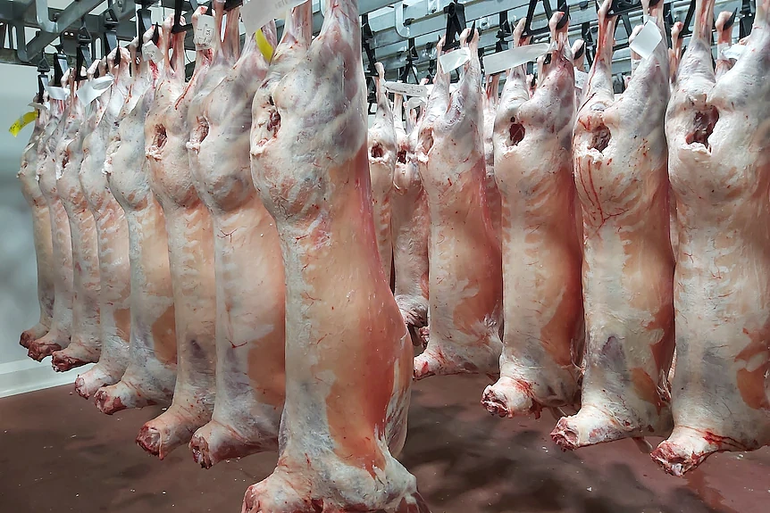 澳洲羊肉在美国掀起“蛋白质热潮”!年出口额超过$10亿,需求持续升温 - 3