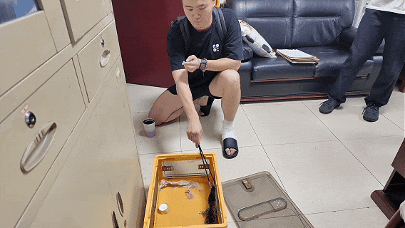 前员工为泄愤偷走老板的鳄鱼，警方追回后，二人双双被罚：员工被行政处罚，老板被依法没收鳄鱼 - 3