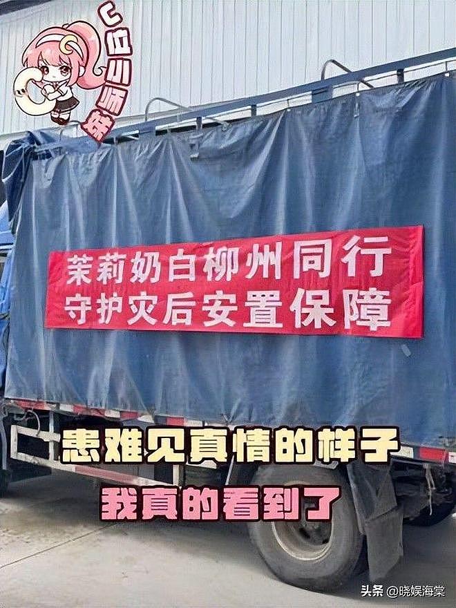 脸丢遍全球!日韩网友力挺茉莉奶白,LV小编通宵删评,包价暴跌(组图) - 5