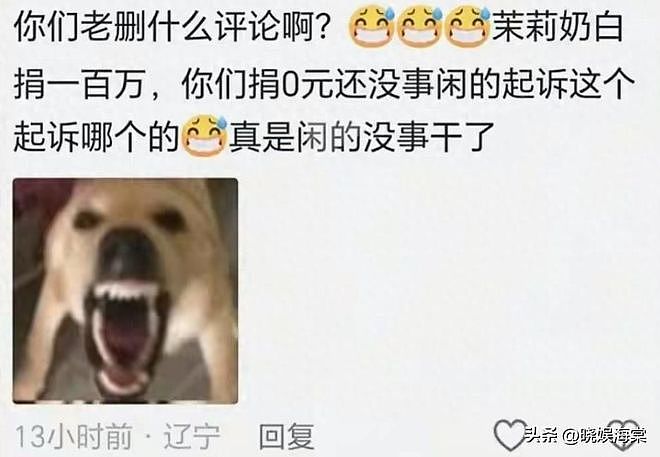 脸丢遍全球!日韩网友力挺茉莉奶白,LV小编通宵删评,包价暴跌(组图) - 6