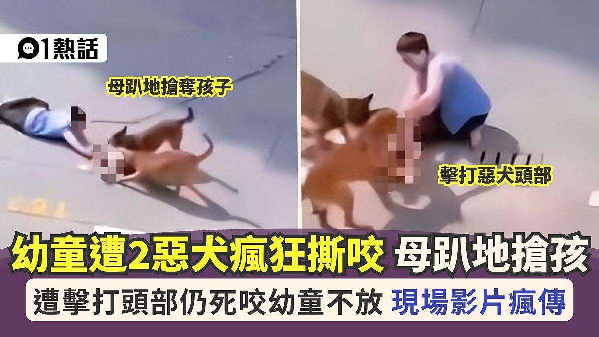 上海2恶犬疯狂撕咬幼童，母亲趴地抢娃，路人旁观不敢走近（组图） - 1