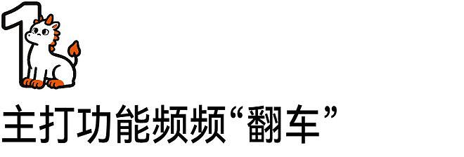 豆包专业版第一批付费用户,纷纷吐槽说被坑了 - 2