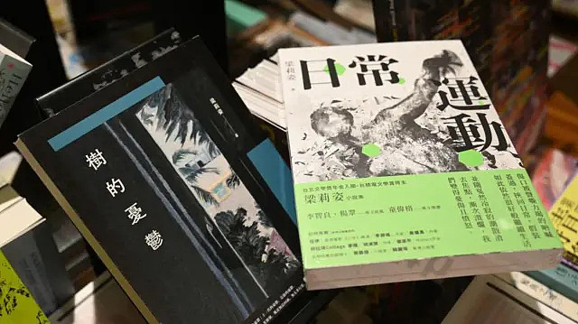 香港“禁书时代”:国安法生效后,那些被下架、点名与检走的书 - 5