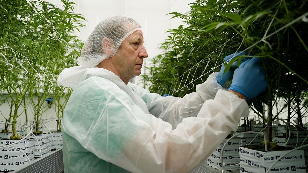 你还在买房买股票？超1.1万澳洲人掏钱投资创业公司，西澳去年吸金近$800万！（组图） - 4