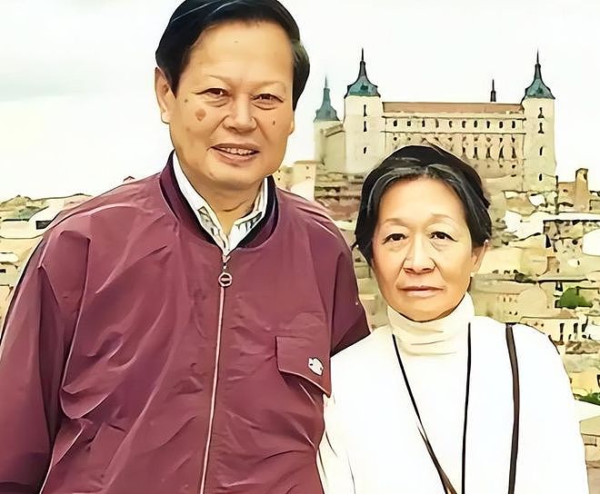 卷款18亿逃英国、给杨振宁戴绿帽?丧夫9个月后,翁帆又遇上难题 - 3